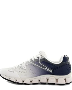 Scholl Galaxy 23