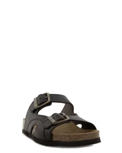 Scholl Moldava AD